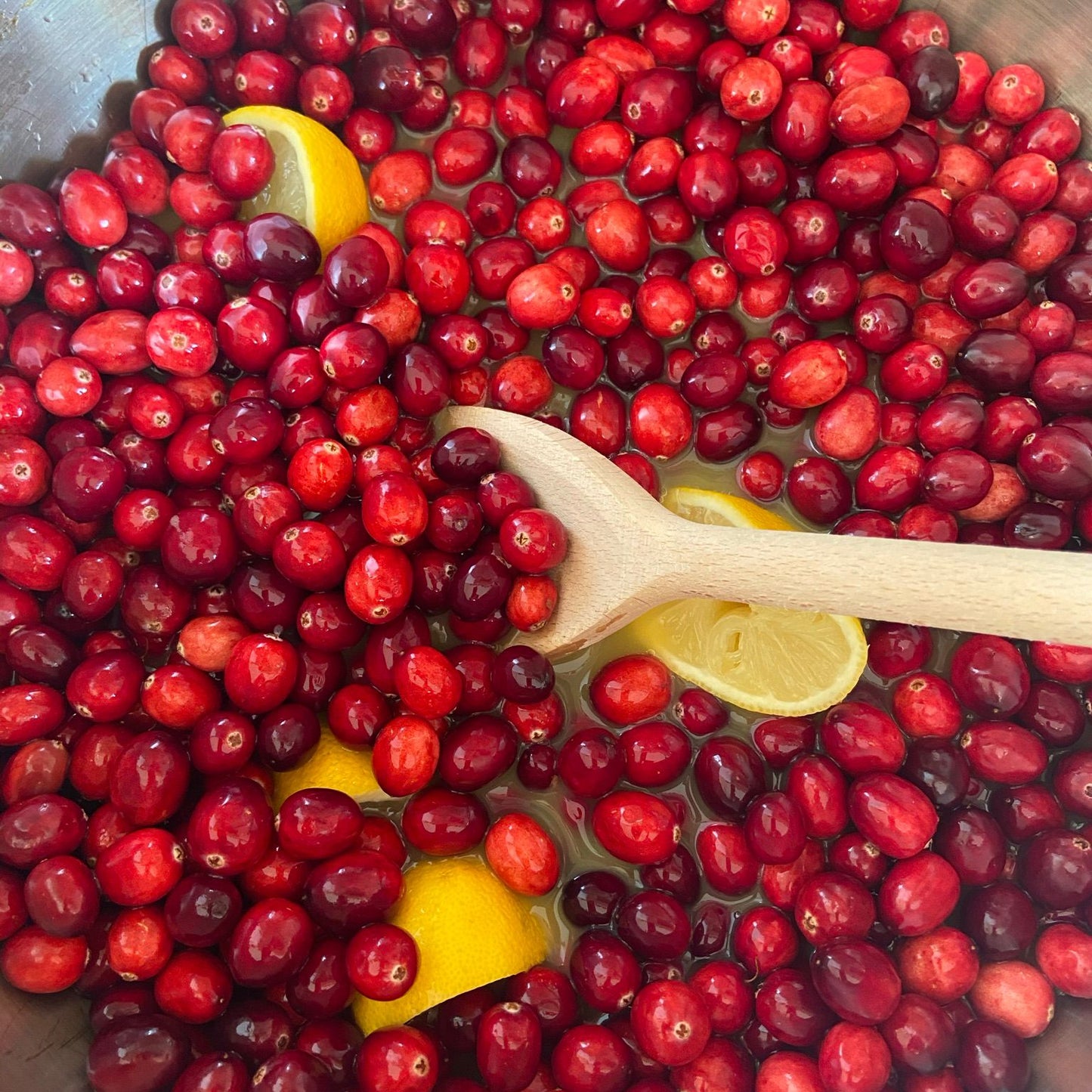 Cranberry Sauce 42g