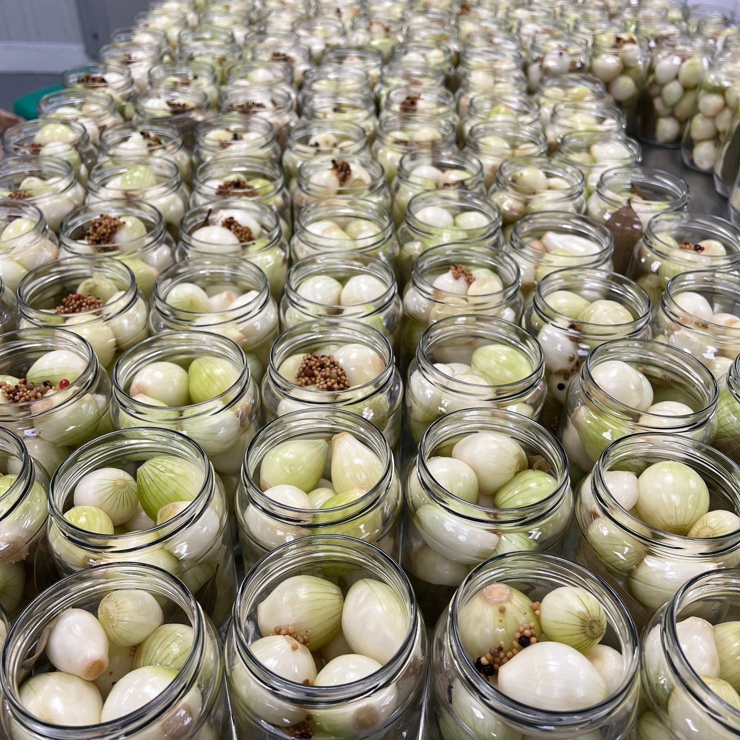 Malt Pickled Onions, with mustard and coriander 720g